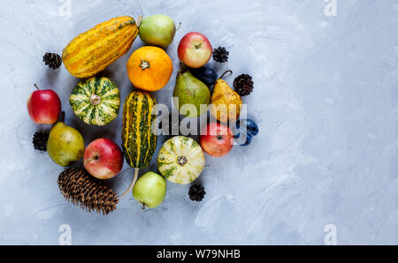 La Giornata del ringraziamento la composizione di frutta e verdura su sfondo grigio. Autumn harvest concetto. Zucche, pere, prugne, mele sul tavolo, vista dall'alto, Foto Stock