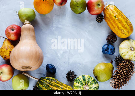 La Giornata del ringraziamento la composizione di frutta e verdura su sfondo grigio. Autumn harvest concetto. Zucche, pere, prugne, mele sul tavolo, vista dall'alto, Foto Stock