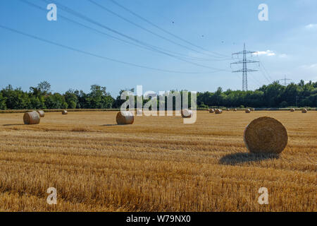 Sunny View di campagna con golden round asciugare le balle di fieno e di paglia da tagliare i grani sulla raccolta di campi di grano dopo la stagione di raccolta. Foto Stock