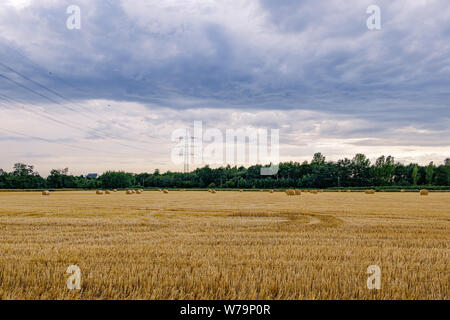 Sunny View di campagna con golden round asciugare le balle di fieno e di paglia da tagliare i grani sulla raccolta di campi di grano dopo la stagione di raccolta. Foto Stock