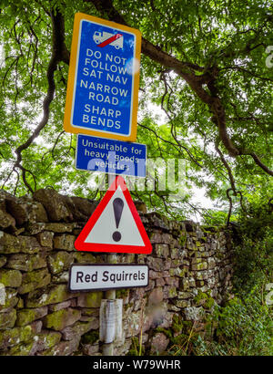 Entrata in un vicolo del paese in Cumbria Regno Unito avvertenza e attenzione circa gli scoiattoli rossi e contro Sat Nav utilizzare per automezzi pesanti Foto Stock
