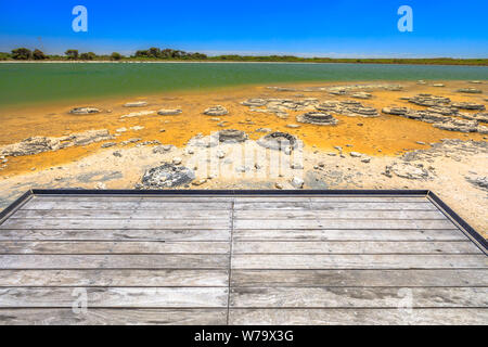 Paesaggio australiano degli Stromatoliti al lago Thetis, un lago costiero salino a Cervantes, australia occidentale. Soleggiato con cielo blu. Passerella in legno Foto Stock