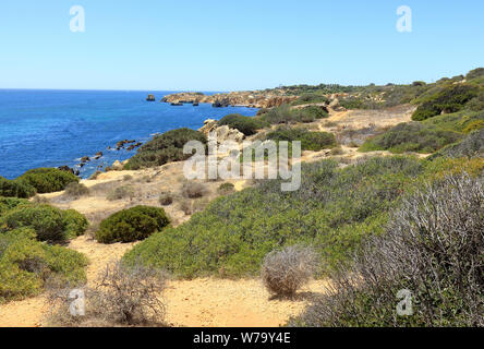 Scena di paesaggio da Caminho da Baleeira a Praia de Arrifes Foto Stock