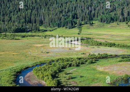 Un flusso si snoda attraverso una valle al di sotto di una foresta di abeti rossi e pini nelle Montagne Rocciose vicino a Pagosa Springs, Colorado Foto Stock