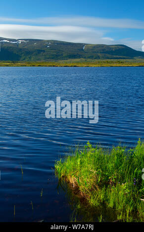 Martinetti stagno lungo Western Brook Pond Trail, Parco Nazionale Gros Morne, Terranova e Labrador, Canada Foto Stock