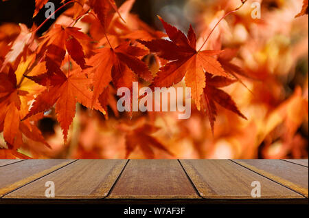 In prospettiva il contatore di legno con il Giapponese acero giardino in autunno. Foto Stock