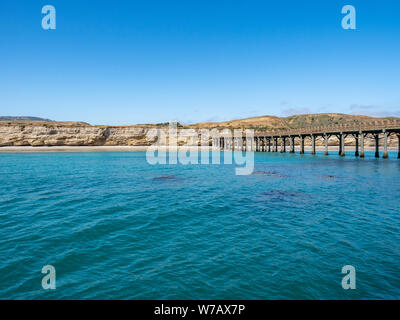 Kelp visto sotto acqua sull approccio alla Baia Bechers Pier sull isola di Santa Rosa in barca sulla soleggiata giornata di primavera, il Parco Nazionale delle Channel Islands, Ventura, Califo Foto Stock