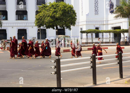 Yangon, Myanmar-May 4° 2014: giovani monaci attraversando la strada al di fuori Yangon City Hall. La maggior parte dei ragazzi birmani frequentare un monastero per 3 mesi a partire dall'età o Foto Stock