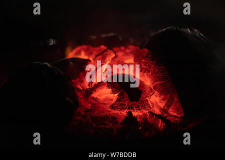 Cresta della fiamma sul legno che brucia nel caminetto in India. Foto Stock