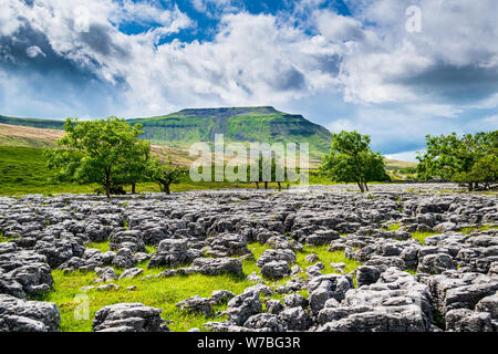 Ingleborough montagna con pavimentazione in calcare Foto Stock