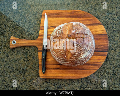 Filone di freschi fatti in casa a caldo di pasta acida pane dal forno cotto e pronto per essere tagliato Foto Stock