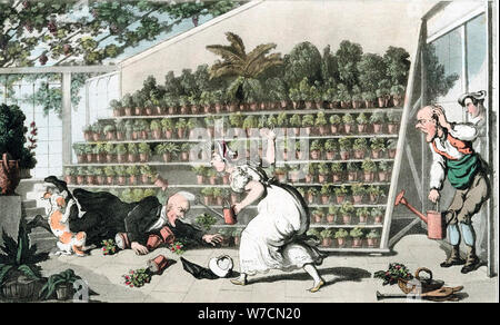 'Misfortune in Tulip Hall', C1816. Artista: Thomas Rowlandson Foto Stock