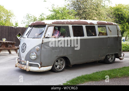 Rat guardando lo schermo diviso Volkswagen camper van Foto Stock