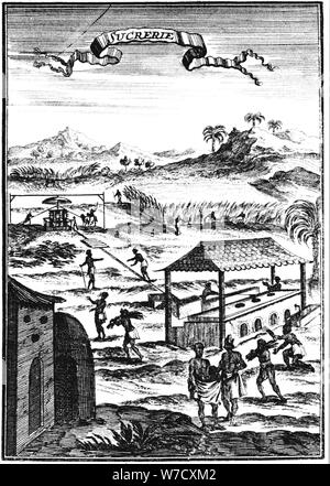 Zucchero di fabbrica e piantagione in West Indies, 1686. Artista: Allain Manesson Mallet Foto Stock