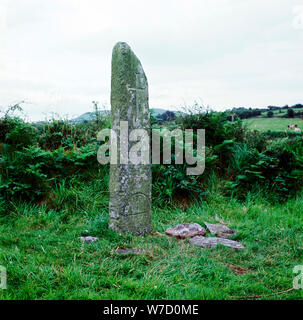 Croce Kilnasaggart pilastro, Armagh, Irlanda, c714. Artista: sconosciuto Foto Stock