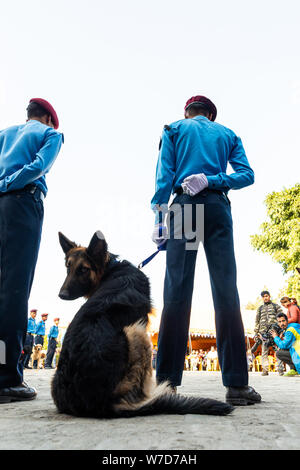 KATHMANDU, NEPAL - 6 Novembre 2018: polizia nepalese celebra Kukur Tihar è (cane festival) alla centrale di polizia di addestramento del cane scuola. Foto Stock