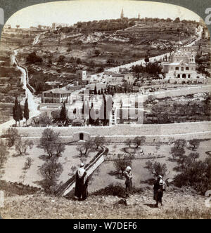 Il Giardino del Getsemani e del Monte degli Ulivi, Palestina, 1908.Artista: Underwood & Underwood Foto Stock