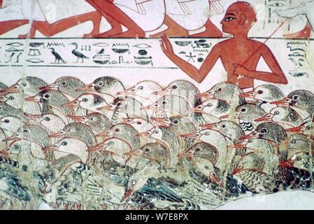 Il conteggio delle oche: frammento di pittura murale della tomba di Nebamun, Tebe, Egitto, c1350 BC. Artista: sconosciuto Foto Stock