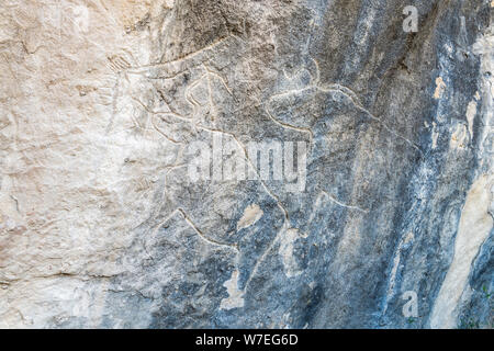 Antica petroglyph raffiguranti tori in Gobustan, Azerbaigian. Foto Stock