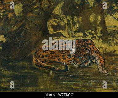 "Una Jaguar', C1900. Artista: John MacAllan Swan. Foto Stock