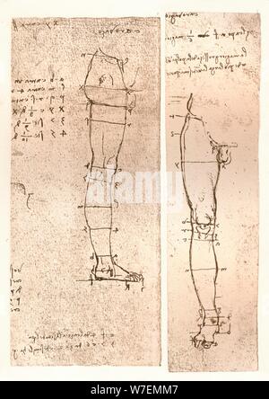 Due disegni che illustrano la teoria delle proporzioni della figura umana, C1472-C1519 (1883). Artista: Leonardo da Vinci. Foto Stock