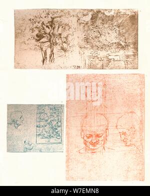 Tre disegni, C1472-C1519 (1883). Artista: Leonardo da Vinci. Foto Stock