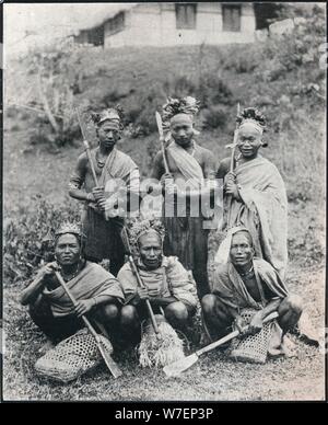 "Assamese', C1903. Artista: F Kapp & Co. Foto Stock