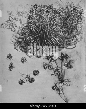 "Una stella di Betlemme e di altre piante', C1480 (1945). Artista: Leonardo da Vinci. Foto Stock