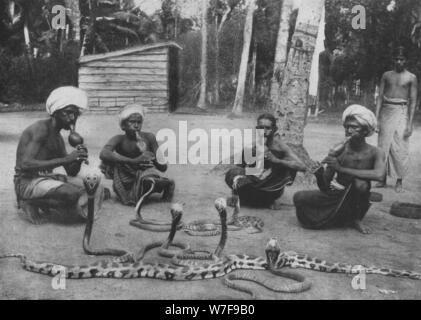 'Snake Charmers', c1890, (1910). Artista: Alfred William Amandus piastra. Foto Stock