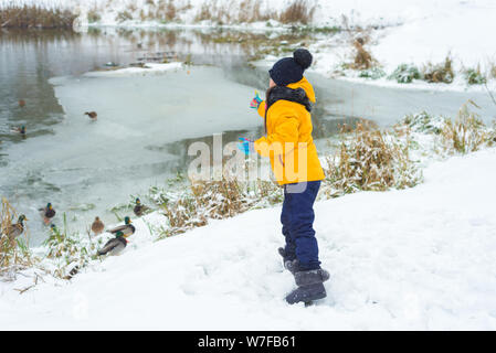 Bambina alimenta la fame di anatre in inverno su un lago ghiacciato Foto Stock