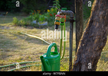 Gocce di acqua riempire il verde annaffiatoio. Siccità nel giardino di casa. Rurale scena. Foto Stock