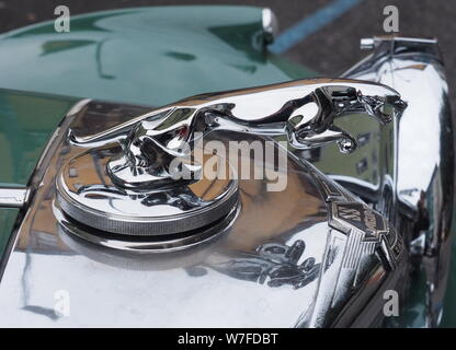 Bergamo, Italia:, 18 Ottobre 2015: Cromo Jaguar logo sul cofano delle auto Jaguar XJS in un auto show. Statuetta di Jaguar in un jum Foto Stock