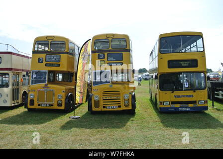 Una linea di autobus d'epoca parcheggiati in mostra alla Fiera di vapore di Torbay, Churston, Devon, Inghilterra. Foto Stock