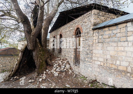 Basqal, Ismayilli regione, Azerbaigian - Aprile 30, 2019. Il vecchio piano orientali (Platanus orientalis) e le rovine di un bruciata moschea, entrambi risalenti al Foto Stock