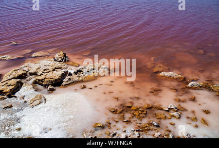 Laguna Salada in Torrevieja, Spagna. Rosa lago salato. Salinas parco naturale. Foto Stock