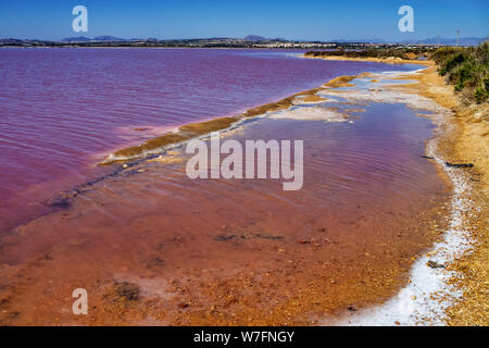 Laguna Salada in Torrevieja, Spagna. Rosa lago salato. Salinas parco naturale. Foto Stock