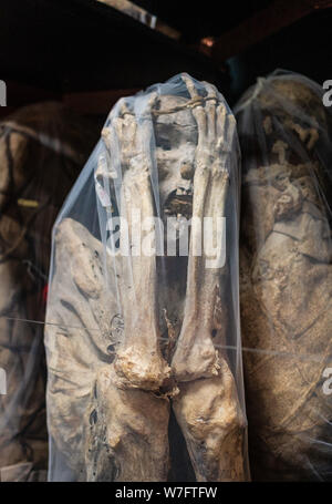 Le celebri mummie che sono stati trovati in tombe vicine Laguna de los Condores (Lago di Condor) e ora possono essere visti al museo Leymebamba. Foto Stock