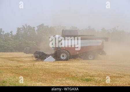 Harvester in polvere club al lavoro per il raccolto di grano su un immenso campo d'estate. Persone e tecnologia lavorare al limite a secco di climi caldi. Th Foto Stock