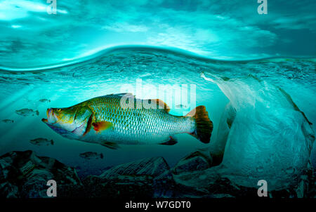 Inquinamento di plastica in marine problemi ambientali animali in mare non può vivere. E causare inquinamento plastica nell'oceano (concetto ambientale) Foto Stock