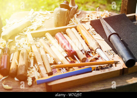 Strumenti diversi per intaglio del legno in una scatola di legno con trucioli di legno. Messa a fuoco selettiva con la luce del sole. Tonica foto Foto Stock