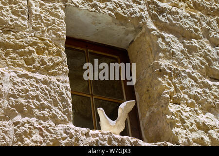 Una pietra ornamentale colomba sul davanzale di Gozo Foto Stock