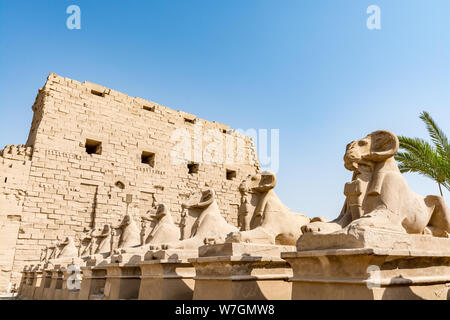 Statuti della ram all'ingresso del tempio di Karnak Luxor Egitto Foto Stock