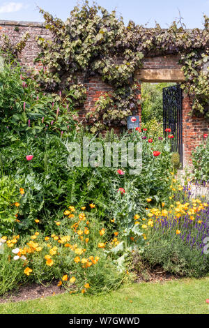 Inizio estate nei giardini a Beningborough Hall, North Yorkshire, Regno Unito Foto Stock