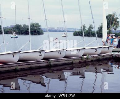 Barche schierate nel fiume Charles, Boston, Massachusetts Foto Stock