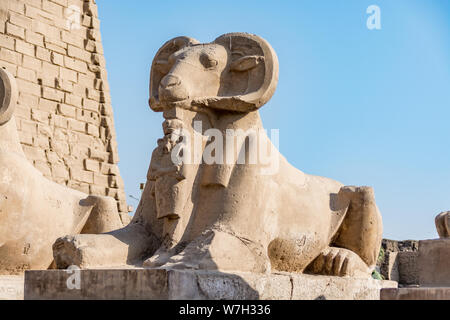 Statuti della ram all'ingresso del tempio di Karnak Luxor Egitto Foto Stock