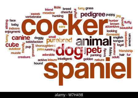 Cocker Spaniel word cloud Foto Stock