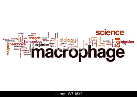 Parola di macrofago concetto di cloud Foto Stock