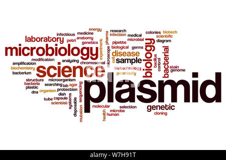 Il plasmide parola concetto di cloud Foto Stock
