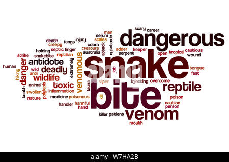 Snake bite parola concetto di cloud Foto Stock