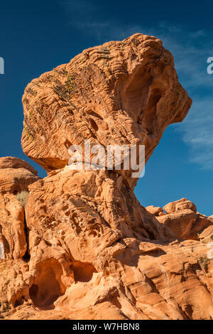 Formazioni rocciose di arenaria a Redstone Trail, zona di Northshore Road, Lake Mead National Recreation Area, Nevada, USA Foto Stock